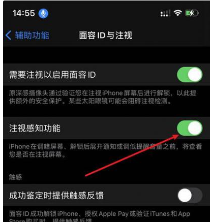 武冈苹果14维修网点分享iPhone14注视感知功能有什么用 